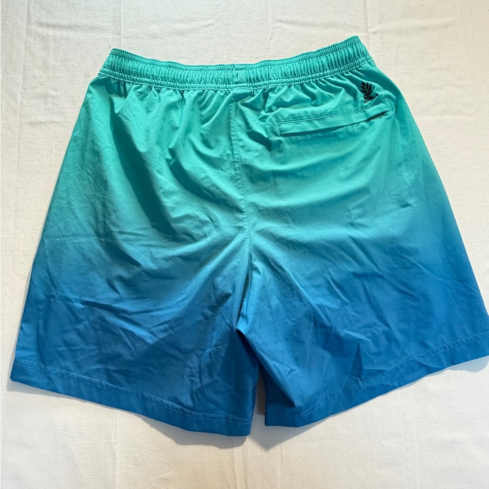 Chubbies Ombre Teal Blue Swim Trunks Men’s Small 7" Inseam Lined - Picture 2 of 8